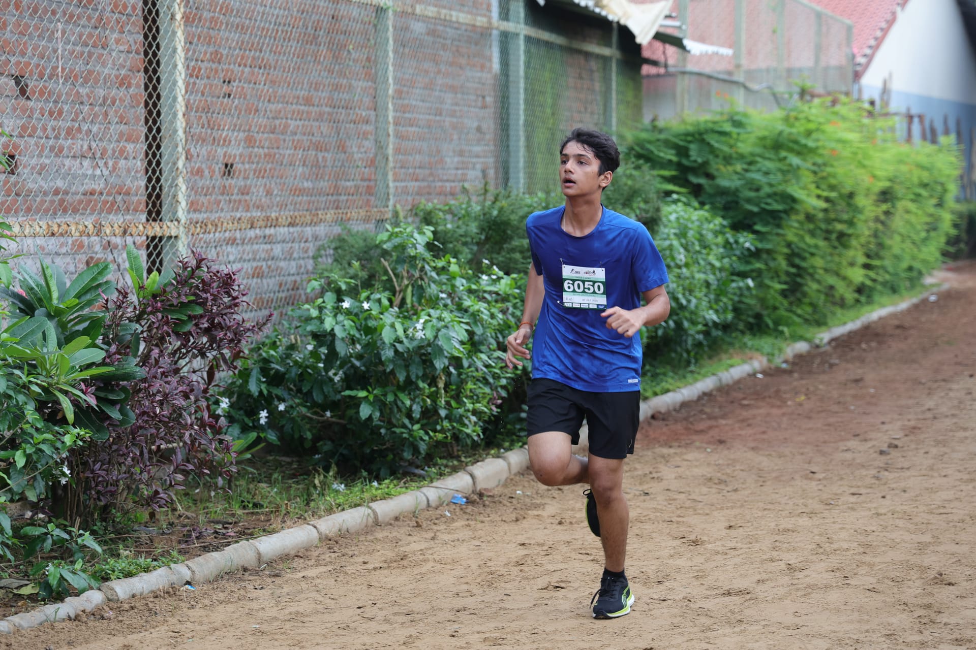 Solo runner on trail